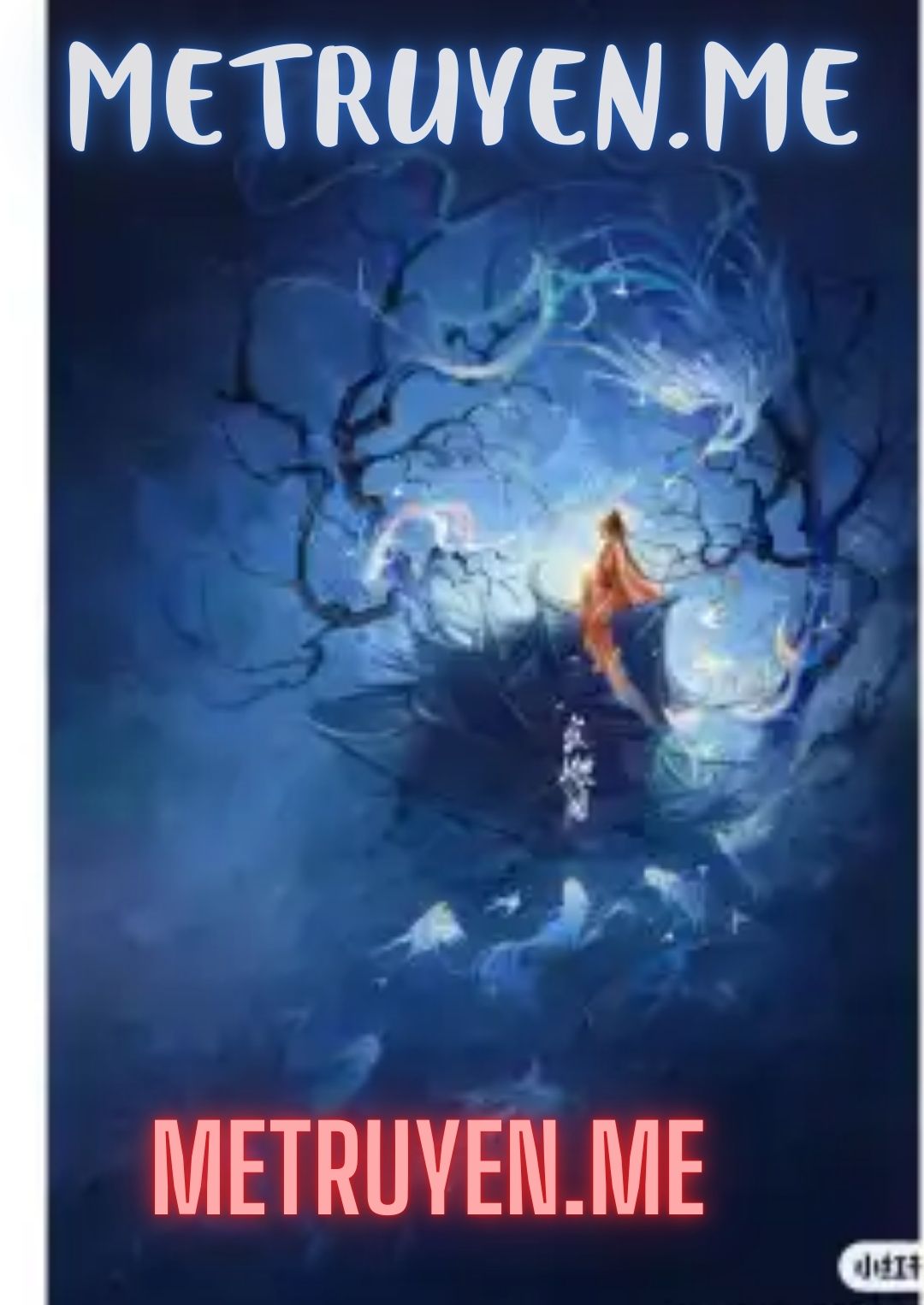 Livestream Giám Định Đồ Cổ 2